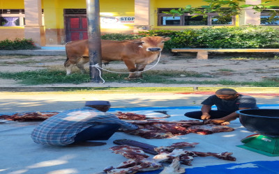 SMP Negeri 1 Pante Bidari Laksanakan Qurban 3 Ekor Sapi melalui Sistem Arisan Guru
